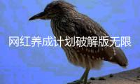 网红养成计划破解版无限金币