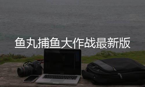 鱼丸捕鱼大作战最新版下载