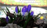 dnf手游