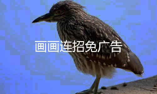 画画连招免广告下载