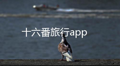 十六番旅行app下载