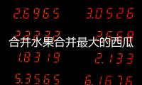 合并水果合并最大的西瓜游戏(Watermelon Merge: FruitDrop)