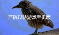 严阵以待游戏手机版