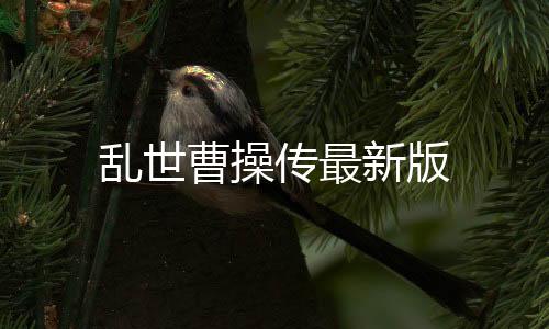 乱世曹操传最新版下载