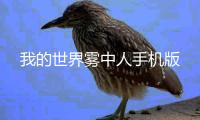 我的世界雾中人手机版
