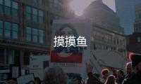 摸摸鱼