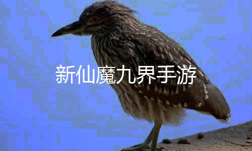 新仙魔九界手游下载