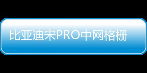 比亚迪宋PRO中网格栅外观改装件宋PLUS爆改前脸专用装饰亮条配件下载