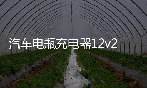 汽车电瓶充电器12v24v伏摩托车蓄电池全智能纯铜修复大功率充电机下载