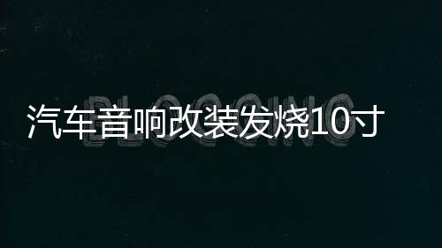 汽车音响改装发烧10寸12寸双音圈重低音纯低音车载无源低音炮喇叭下载