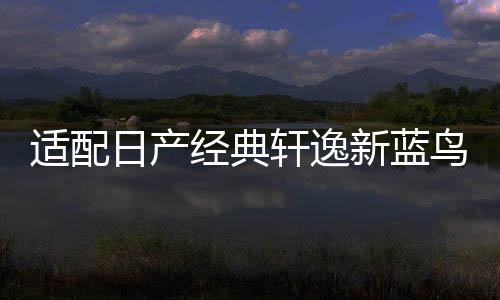 适配日产经典轩逸新蓝鸟新阳光尼桑骊威原装汽车电瓶瓦尔塔蓄电池下载