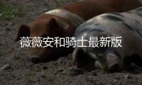 薇薇安和骑士最新版