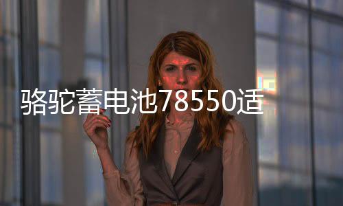 骆驼蓄电池78550适配别克GL8赛威凯迪拉克60ah汽车电瓶 以旧换新下载
