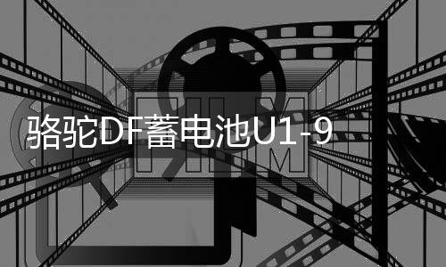 骆驼DF蓄电池U1-9割草机旋耕微耕机路面切割机发电机12V24AH电瓶下载