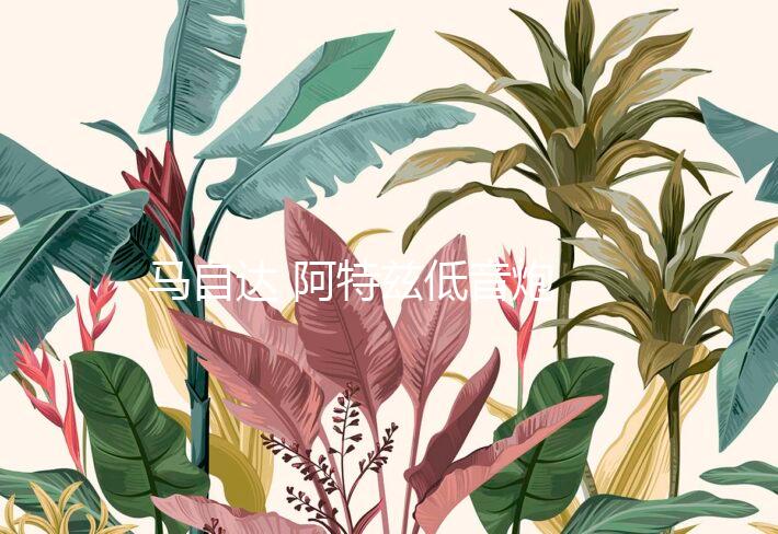 马自达 阿特兹低音炮 汽车音箱 10寸12寸喇叭 车载音响 无损下载