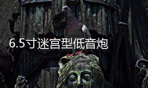 6.5寸迷宫型低音炮 木质 空箱体 功放汽车音响喇叭音箱外壳孔可改下载
