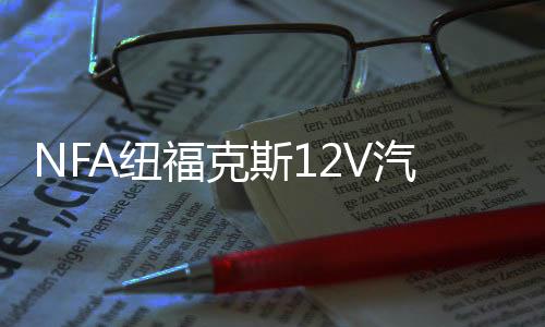 NFA纽福克斯12V汽车电瓶充电器大功率充满自停25A蓄电池充电机下载