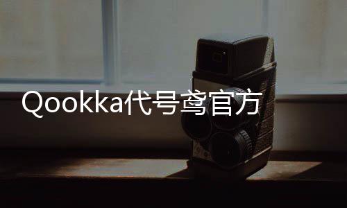 Qookka代号鸢官方简中服下载